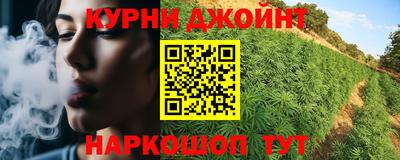крисы Дубна